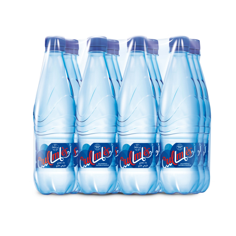 EAU GAZUZEUZ OULMES 12X50CL*10 PACK