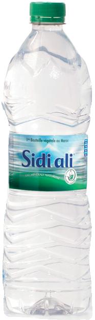Sidi Ali Bouteille Végétale 1L*10