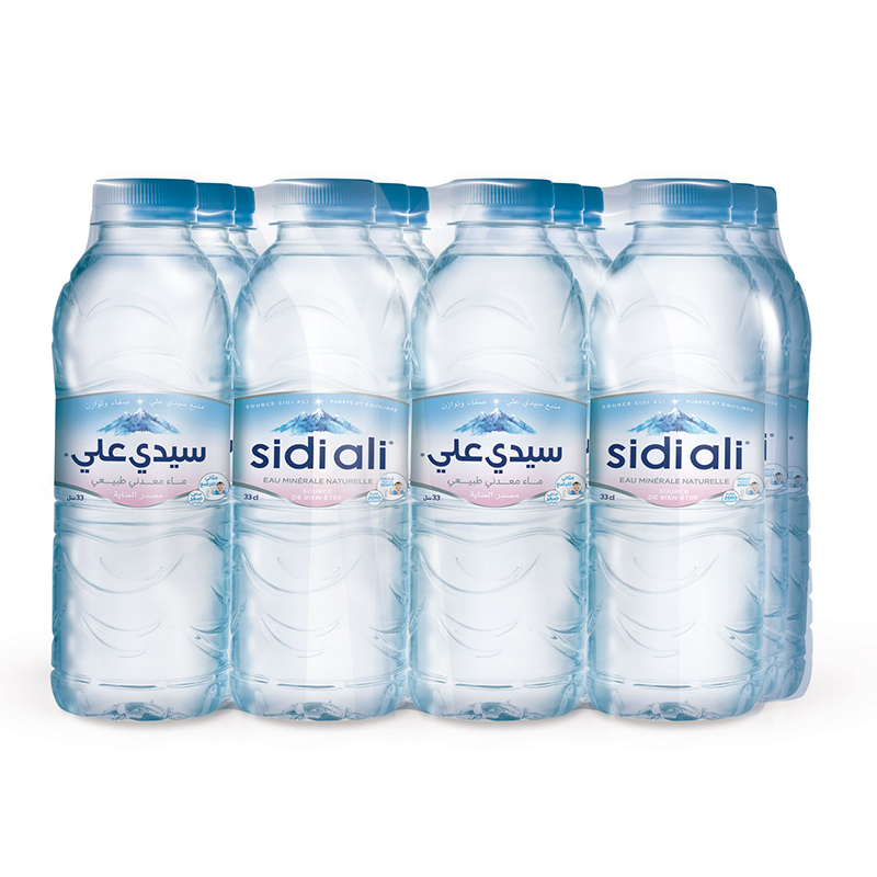 Eau minéral naturelle Sidi Ali 12x33cl *10