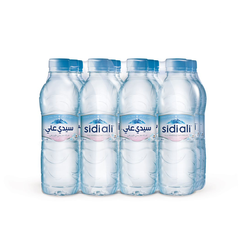 Eau minéral naturelle Sidi Ali 12x50cl *10